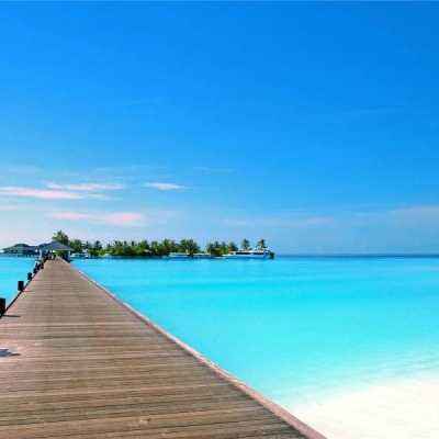 万博体育官方app