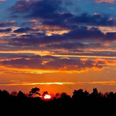 56677彩票app下载