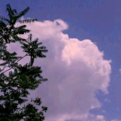 域网棋牌手机app下载截图